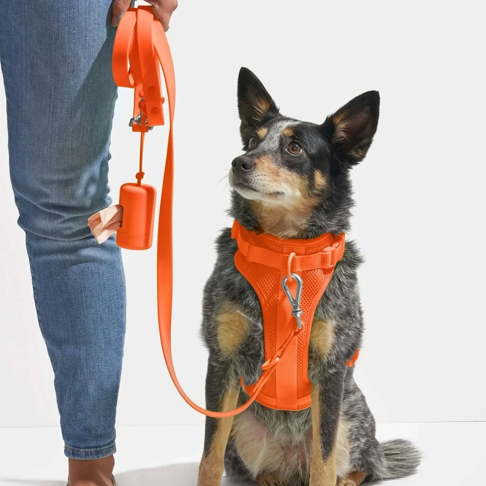 Wild One Dog Harness - Blaze - Size: XS